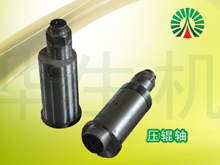 Platen roller shaft